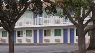 Illustration de l'article : En regagnant leur chambre d'hôtel, ils constatent que leur chienne n'est plus là puis la reconnaissent sur une petite annonce en ligne