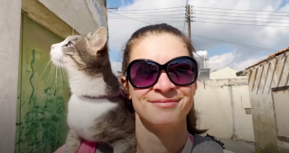 Illustration de l'article : Elle d&eacute;couvre un minuscule chaton dans sa chambre d'h&ocirc;tel et comprend vite qu'elle ne pourra plus se passer de lui malgr&eacute; sa vie de globe-trotter