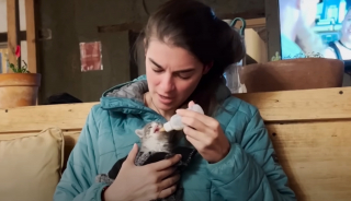 Illustration de l'article : Elle d&eacute;couvre un minuscule chaton dans sa chambre d'h&ocirc;tel et comprend vite qu'elle ne pourra plus se passer de lui malgr&eacute; sa vie de globe-trotter