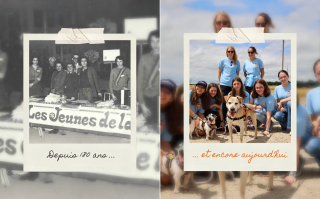 Illustration de l'article : La SPA fête ses 180 ans et célèbre la solidarité dans son film "Nous sommes tous la SPA"