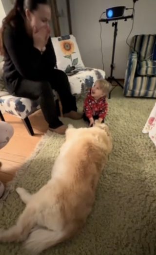 Illustration de l'article : Récemment adoptée en refuge, cette chienne rencontre un enfant pour la première fois et ressent le coup de foudre (vidéo)