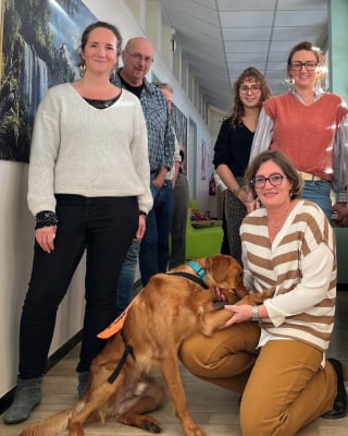Illustration de l'article : "Cr&eacute;er un environnement plus serein et bienveillant", ce Golden Retriever entame officiellement sa mission aupr&egrave;s d'enfants victimes de violences
