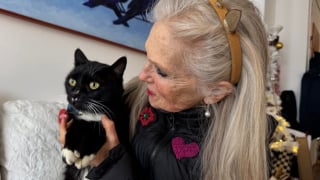 Illustration de l'article : Allergique aux chats, il conduit avec un masque et traverse le pays sur 700 kilom&egrave;tres pour ramener un f&eacute;lin perdu &agrave; sa famille