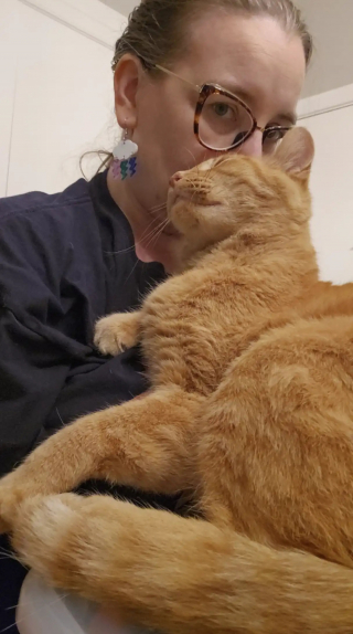 Illustration de l'article : En s'invitant dans un restaurant au hasard, ce chat errant fait bien plus que s'attirer la sympathie et des clients