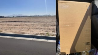 Illustration de l'article : Une chatte abandonnée dans un carton en plein milieu d'un champ aride renoue avec l'espoir grâce à la vigilance d'une adolescente