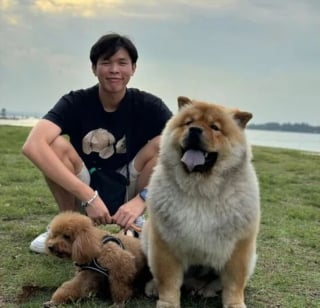 Illustration de l'article : Leur chien s'échappe de la pension pendant leur voyage, ils en perdent le sommeil et écourtent leur séjour pour le chercher