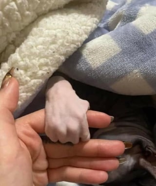 Illustration de l'article : 13 photos de chats ou de chiens pour vous aider &agrave; attaquer l'ann&eacute;e du bon pied