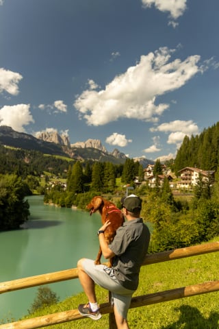 Illustration de l'article : 6 bonnes r&eacute;solutions &agrave; prendre pour une nouvelle ann&eacute;e avec votre chien