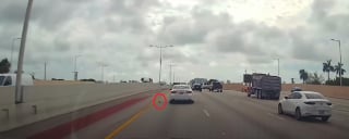 Illustration de l'article : Ce couple de sauveteurs d'animaux reste sans voix face &agrave; un chaton d&eacute;couvert sans la moindre &eacute;gratignure sur une autoroute bond&eacute;e