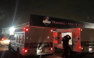 Illustration de l'article : La solidarité s'organise autour d'une pension canine détruite par les flammes avec 17 chiens secourus dans l'urgence