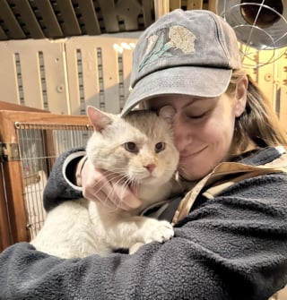 Illustration de l'article : Ce chat errant blanc devait &ecirc;tre rel&acirc;ch&eacute; apr&egrave;s sa st&eacute;rilisation, mais son charme particulier a chang&eacute; son destin (vid&eacute;o)