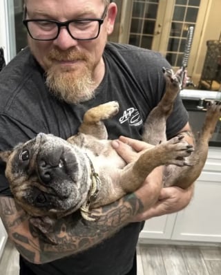 Illustration de l'article : Des sauveteurs découvrent le carton d’un aspirateur devant le refuge et réalisent qu’une petite créature est piégée à l’intérieur (vidéo)