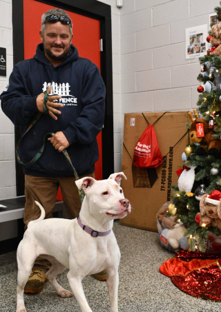 Illustration de l'article : A l’approche des fêtes, des familles se mobilisent massivement lors d’un weekend d’adoption et offrent un nouveau départ à près de 1 000 animaux