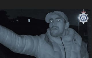 Illustration de l'article : Face &agrave; l&rsquo;intrusion d&rsquo;un voleur, un chat courageux prot&egrave;ge sa propri&eacute;taire et met en fuite le criminel