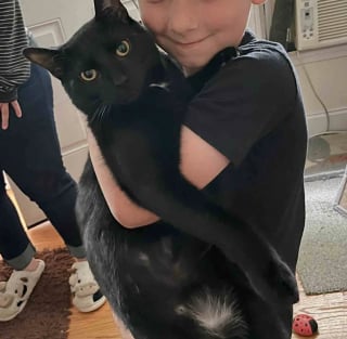 Illustration de l'article : Gr&acirc;ce &agrave; la vigilance et &agrave; la bienveillance des &eacute;boueurs, un chat avec la hanche fractur&eacute;e trouve la famille de ses r&ecirc;ves