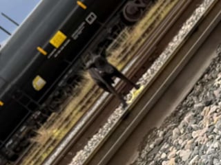 Illustration de l'article : &laquo; Ces hommes patients et pers&eacute;v&eacute;rants lui ont sauv&eacute; la vie &raquo;, une chienne effray&eacute;e trouve de l'aide aupr&egrave;s des employ&eacute;s d&eacute;termin&eacute;s d'une gare de triage