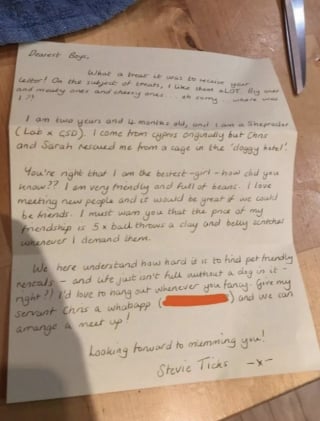 Illustration de l'article : Priv&eacute;s d&rsquo;animal, 4 amis &eacute;crivent &agrave; leur voisin pour promener son chien et re&ccedil;oivent une r&eacute;ponse absolument adorable