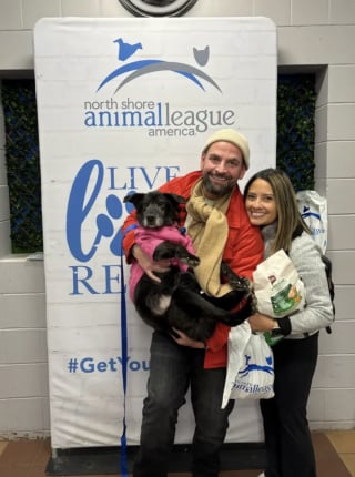 Illustration de l'article : &laquo; C'est une fin digne d'un conte de f&eacute;es &raquo;, abandonn&eacute;e sur un parking, une chienne de 15 ans r&ecirc;ve de finir ses vieux jours dans une famille aimante