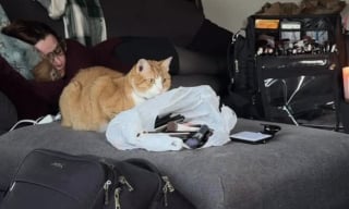 Illustration de l'article : Une cliente voulait un maquillage, mais le chat de la maquilleuse avait d’autres plans pour elle (vidéo)
