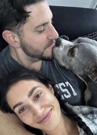 Illustration de l'article : &laquo; Caressez-moi, s&rsquo;il vous pla&icirc;t &raquo;, une chienne en phase terminale re&ccedil;oit l&rsquo;amour de dizaines d&rsquo;inconnus lors d&rsquo;adieux &eacute;mouvants (vid&eacute;o)