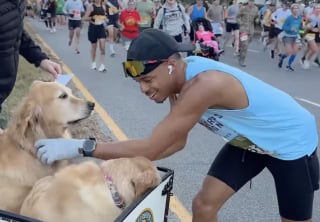 Illustration de l'article : Gr&acirc;ce &agrave; 2 adorables Golden Retrievers, les coureurs &eacute;puis&eacute;s d&rsquo;un marathon trouvent un regain de motivation (vid&eacute;o)