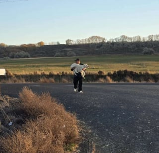 Illustration de l'article : En &eacute;tat de choc et percut&eacute;e par une voiture, une chienne trouve la force de remuer la queue pour ses sauveurs