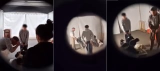 Illustration de l'article : Des images choquantes publi&eacute;es par PETA r&eacute;v&egrave;lent la d&eacute;tresse des chiens entra&icirc;n&eacute;s pour un spectacle &agrave; Europa-Park, qui annonce sa d&eacute;cision