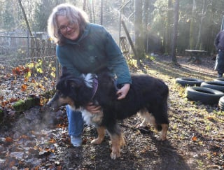 Illustration de l'article : &laquo; Il pouvait &agrave; peine tenir debout &raquo;, laiss&eacute; encha&icirc;n&eacute; dans le froid glacial, ce chien &acirc;g&eacute; voit enfin son calvaire s&rsquo;achever