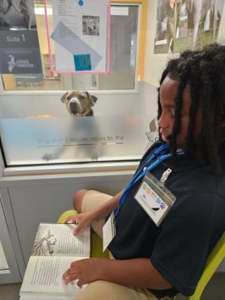 Illustration de l'article : B&eacute;n&eacute;vole &agrave; 9 ans, ce petit gar&ccedil;on a l'habitude de lire des livres aux chiens d'un refuge pour les apaiser