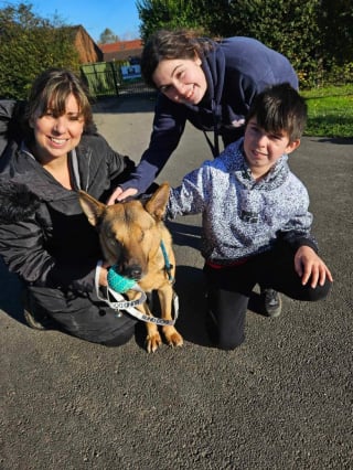 Illustration de l'article : Ignor&eacute; plusieurs mois par les adoptants potentiels, ce chien aveugle re&ccedil;oit 35 demandes d'adoption gr&acirc;ce &agrave; un article