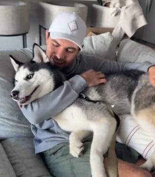 Illustration de l'article : Rendu au refuge car &laquo; ing&eacute;rable &raquo;, ce Husky promis &agrave; l'euthanasie r&eacute;v&egrave;le sa vraie nature une fois sur un canap&eacute; (vid&eacute;o)