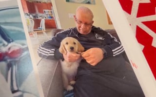 Illustration de l'article : D&eacute;j&agrave; endeuill&eacute;e par la perte de son mari, elle sauve de justesse son Golden Retriever vis&eacute; par un empoisonnement