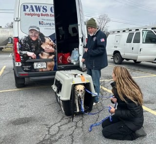 Illustration de l'article : &laquo; Elle lui donne une raison d&rsquo;esp&eacute;rer &raquo;, un chiot sauv&eacute; par un soldat retrouve son ami pendant son traitement contre le cancer (vid&eacute;o)