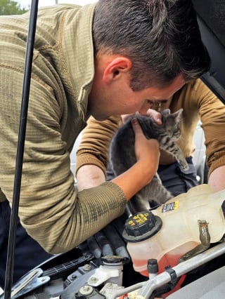 Illustration de l'article : Alert&eacute;s par des cris, 2 militaires ouvrent le capot d'un v&eacute;hicule et sauvent une vie minuscule