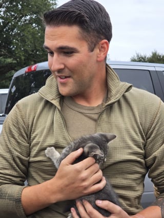 Illustration de l'article : Alert&eacute;s par des cris, 2 militaires ouvrent le capot d'un v&eacute;hicule et sauvent une vie minuscule