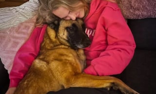 Illustration de l'article : "La main de l'Homme le terrorisait", ce Malinois m&eacute;tamorphos&eacute; par les soins et l'amour profite de sa nouvelle vie