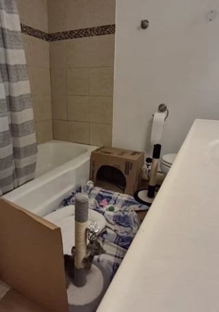 Illustration de l'article : Intrigu&eacute; par un miaulement, son regard croise celui d'un minuscule chaton coinc&eacute; derri&egrave;re la calandre d&rsquo;un camion