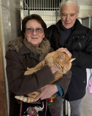 Illustration de l'article : Disparu &agrave; P&acirc;ques, un chat s&eacute;nior refait surface cet hiver et redonne le sourire &agrave; sa famille