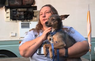 Illustration de l'article : En pleine nuit, leur camping-car commence à brûler et seul leur chien s'en aperçoit à temps pour leur sauver la vie