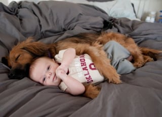 Illustration de l'article : 17 photos qui prouvent que les chiens nous rendent la vie plus belle 