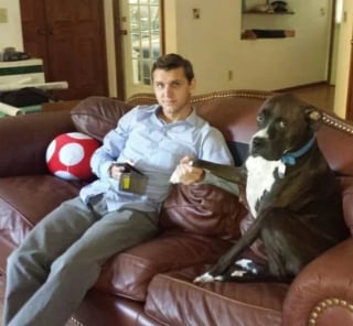 Illustration de l'article : 17 photos qui prouvent que les chiens nous rendent la vie plus belle 