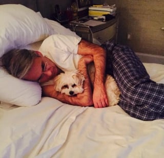 Illustration de l'article : 17 photos qui prouvent que les chiens nous rendent la vie plus belle 