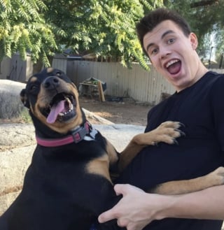 Illustration de l'article : 17 photos qui prouvent que les chiens nous rendent la vie plus belle 