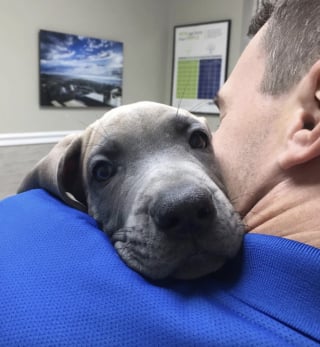 Illustration de l'article : 14 photos d&rsquo;animaux qui illustrent des moments intenses et &eacute;mouvants chez le v&eacute;t&eacute;rinaire