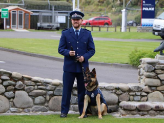 Illustration de l'article : A quelques mois de la retraite, une chienne polici&egrave;re vit l&rsquo;accident que personne n&rsquo;avait vu venir mais trouve la force de rebondir