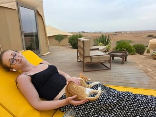 Illustration de l'article : En plein désert, une chatte errante se glisse sous la tente d'un couple de campeurs et refuse de les quitter