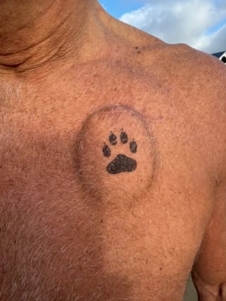 Illustration de l'article : "Je lui dois la vie", une bosse et un tatouage sur le coeur t&eacute;moignent de l'hommage d'un survivant &agrave; son Labrador h&eacute;ro&iuml;que