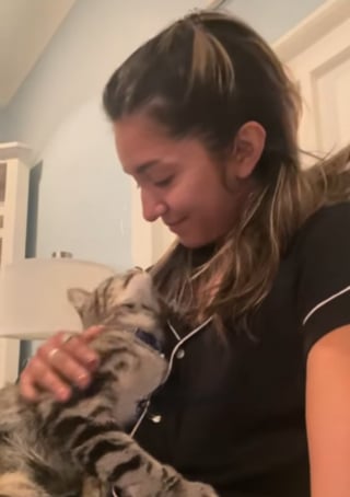 Illustration de l'article : Elle voulait une copine pour sa chatte c&acirc;line, elle se retrouve avec une tornade incontr&ocirc;lable &agrave; la maison (vid&eacute;o)