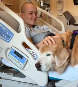 Illustration de l'article : Tous 2 gravement malades, un chien de th&eacute;rapie et un adolescent se rencontrent &agrave; l'h&ocirc;pital et se battent c&ocirc;te &agrave; c&ocirc;te pour gu&eacute;rir