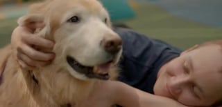 Illustration de l'article : Tous 2 gravement malades, un chien de th&eacute;rapie et un adolescent se rencontrent &agrave; l'h&ocirc;pital et se battent c&ocirc;te &agrave; c&ocirc;te pour gu&eacute;rir